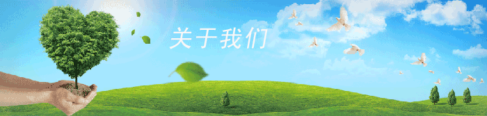 关于我们 技术支持:代代SEO